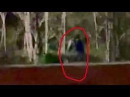 Cannon Creek Bigfoot Footage near Kentucky Ridge Forest