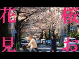 18 BEST Cherry Blossom Spots in TOKYO and KYOTO Ranked