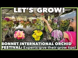 CHOOSING THE RIGHT ORCHID: Expert Review of Orchids at Bonnet House International Orchid Show