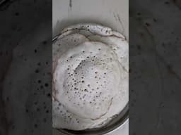 Set dosa # soft and tasty # chithralekha Nair