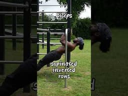 Build an Aesthetic Physique with Calisthenics