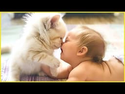 Pure Friendship: Cutest Babies Playing With Cat || Peachy Vines