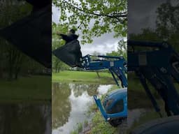 Lure caught in the tree. #fishing #rescue #bigbrother