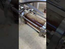 Red Ale #beerbrewing #craftbeer