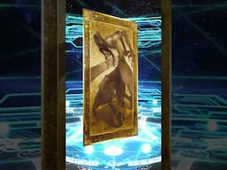 Daily Disappointment: A Cat is Fine Too | FGO