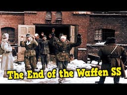 The Huge Vienna Operation 1945 | The Last Soviet Trap and the End of the Waffen SS