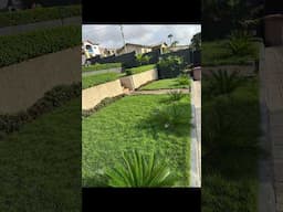 My greatest joy is when a client is satisfied with our service.