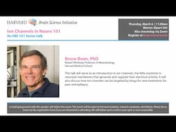 Ion Channels in Neuro 101 w/ Bruce Bean