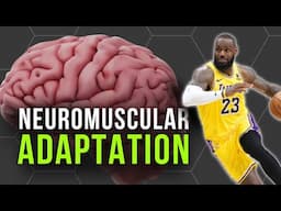 The Science of Training Your Nervous System: What Every Advanced Coach Should Know