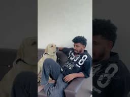 Watch till end😂😂😂😂 #rishi_stylish_official