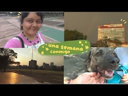 OK, la vida se empieza a poner bonita si decides verla bonito