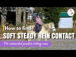 Soft Steady Rein Contact (positive horse training)