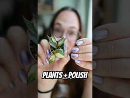 New series🪴💅🏻 Hoya lacunosa inner variegated from @hoyafixation & What It Takes by @cadillacquer