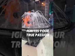The Alchemy of Your Passion