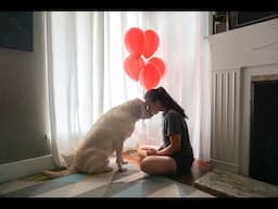 Forever my First Baby – In Loving Memory of Zazu