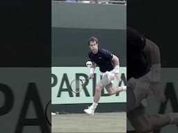 Murray’s speed in the replay angle ⚡️⚡️ #shorts #andymurray #tennis #daviscup