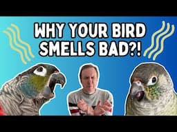 Why Your Bird Smells Bad | Common Causes Of A Stinky Parrot | TheParrotTeacher