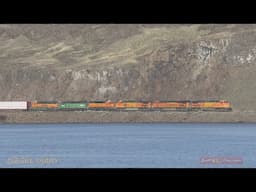 American trains - BNSF & UP - Columbia River - USA - March 2020