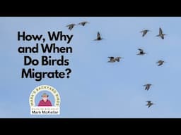 Why, When and How Do Birds Migrate