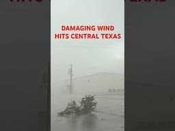Microburst! Buckholts, Texas Severe Wind Gusts - June 1, 2025