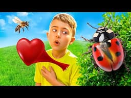 Matteo Explores Bugs and Nature | Outdoor Adventures For Kids