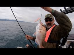 Drift Fishing For Snapper - Catch and Cook