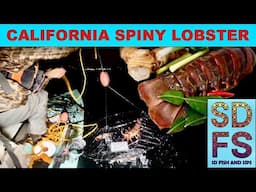 CALIFORNIA SPINY LOBSTER Catch Clean Cook TOM KAH SOUP Recipe Solo Skiff Hoop Net San Diego SDFS