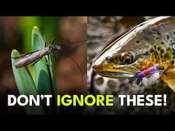 Fly Fishing’s Most Underrated Hatch? | Ep. 130
