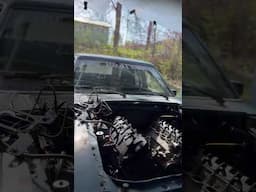 Let me get that coyote stimulus check #themeatwagon #coyote #wagon #stickshift #racecar #ford #car