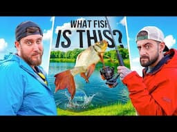 Head-to-Head Species Showdown: What Even is This FISH!?