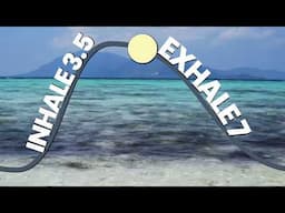 Guided Breathing Exercise | Inhale 3.5s, Exhale 7s (2:1 Ratio)