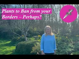Plants to Ban from your Borders – Perhaps?