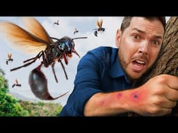 Warrior Wasp STINGS me! (Extreme Edition)