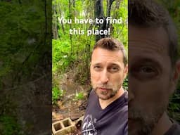 You HAVE TO Pay Attention To This On Your Homestead!
