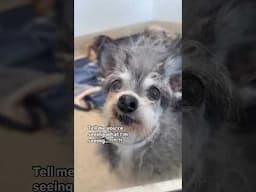 We Found His Family At A Shelter 7 Hours Away…😳 NO WAY!!!