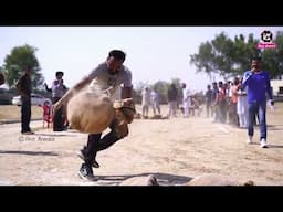 42 ਸੈਕੰਡ ਵਿੱਚ ਪੰਜ ਚੱਕ ਲਿਆਇਆ ਕੀ ਬਣਦਾ !! Pind Diyalpura Mirza Bathinda !! dpd Television