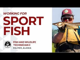Come work as a Fisheries Technician with the Alaska Department of Fish and Game!