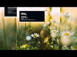 PREMIERE: ACE CAT - Re Enabled One