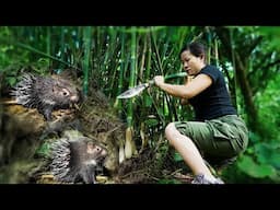 Alone in the Wild - The Girl Who Crafts Deadly Traps and Battles a Fierce Horde of Porcupines