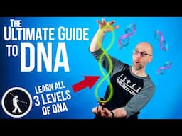 How to do the DNA Yoyo Trick 🧬 All 3 Levels of DNA Beginner to Pro