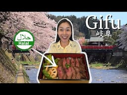 This is my hometown Gifu, Japan!