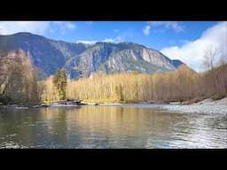 Fly Fishing Remote Mountain Stream for Native Trout