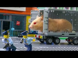 When a Hamster Fights Back... Mommy Long Legs in Trouble!