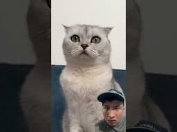 Your love! My Reaction to This Amazing Clip!
