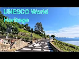 Alan Walker , Dieter Bohlen , Sandra 80's 90's Style Lavaux UNESCO Vignoble en terrasses 🇨🇭