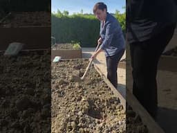 COME SEMINARE I FAGIOLINI - Fatto in Casa da Benedetta