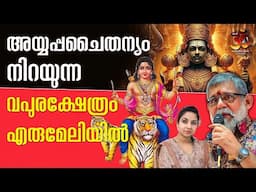 അയ്യപ്പചൈതന്യം നിറയുന്ന വപുരക്ഷേത്രം എരുമേലിയിൽ | Viji Thampi