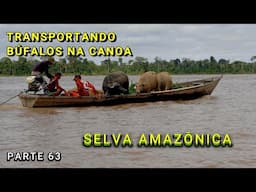 COMUNIDADE JUSSARA - PASSEIO NA MATA - VÍDEO 63
