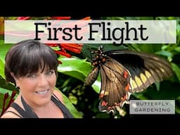 Releasing Butterflies: Flying Free in my Backyard Garden, One Hung Out in my Hair for a Bit
