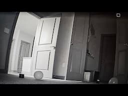 HAUNTED APARTMENT OVERNIGHT PARANORMAL ACTIVITY LIVE